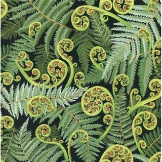 Fronds 6S
