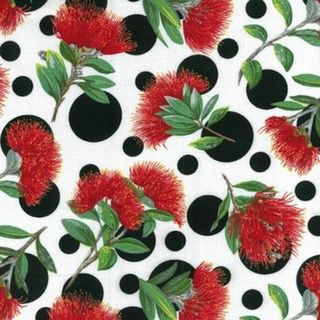 Spot the Pohutukawa 6S